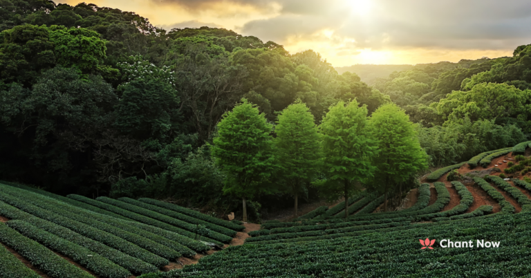 The Science of Spiritual Ecology